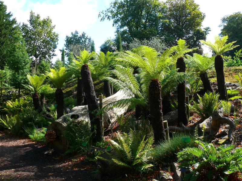 University of Bristol Botanic Garden